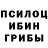 Псилоцибиновые грибы мицелий Zhama Dzhumaniiazov