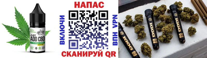 Cannafood конопля  Купить закладки  Сысерть 