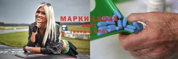 ГАЛЛЮЦИНОГЕННЫЕ ГРИБЫ Балахна