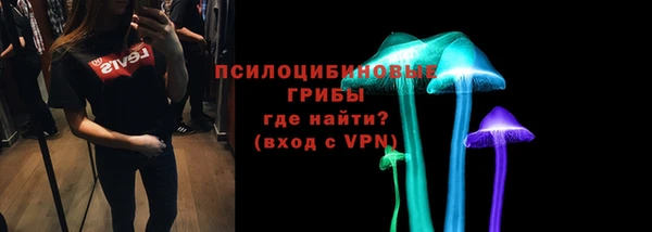 ГАЛЛЮЦИНОГЕННЫЕ ГРИБЫ Балахна