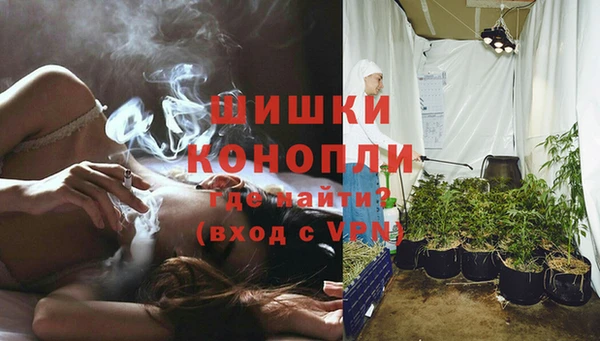 PSILOCYBIN Баксан