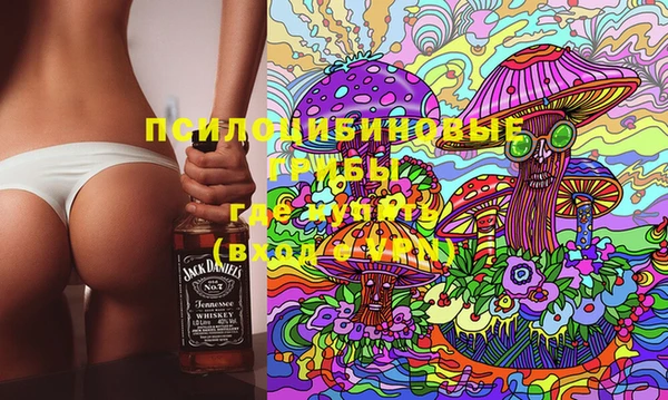 ГАЛЛЮЦИНОГЕННЫЕ ГРИБЫ Балахна