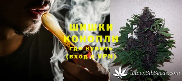 ГАЛЛЮЦИНОГЕННЫЕ ГРИБЫ Балахна