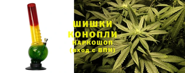 ГАЛЛЮЦИНОГЕННЫЕ ГРИБЫ Балахна