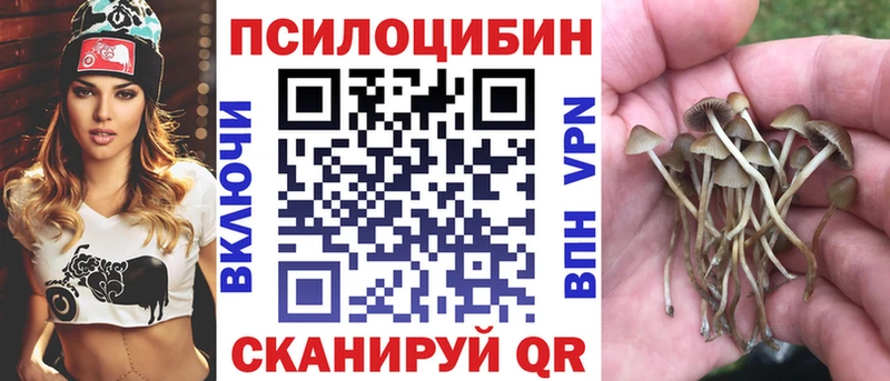 Псилоцибиновые грибы Magic Shrooms  Купить где  Сысерть 